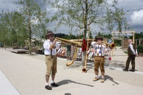 IMG_7310.JPG